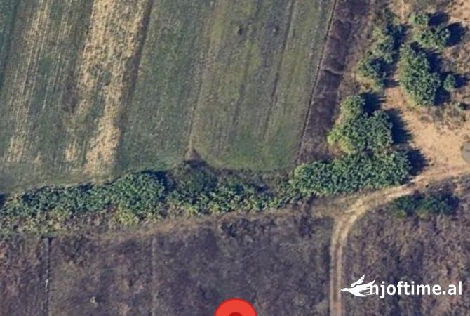 Truall ose Toke  ne Tirane - 100 Euro