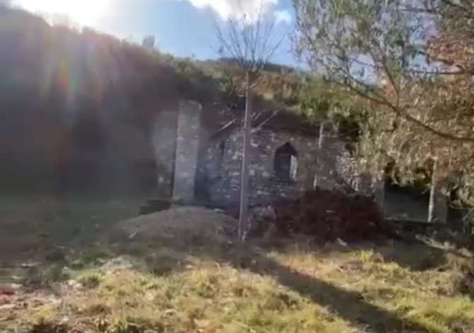 Truall ose Toke ne Tirane - 43,000 Euro