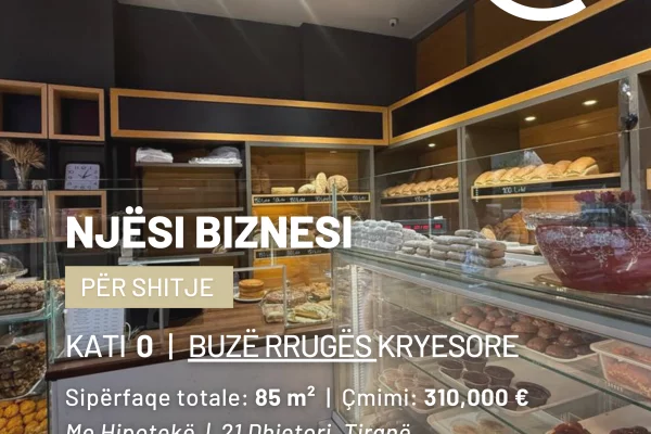 Ambient biznesi ne shitje 1+1 ne Tirane - 310,000 Euro