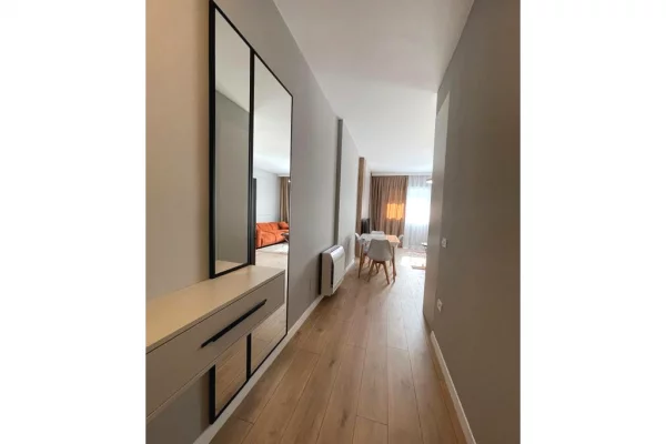 Shtepi me qera Apartament ne Tirane, 1+1, Mobilimi E mobiluar, Pagesa 800  Euro.