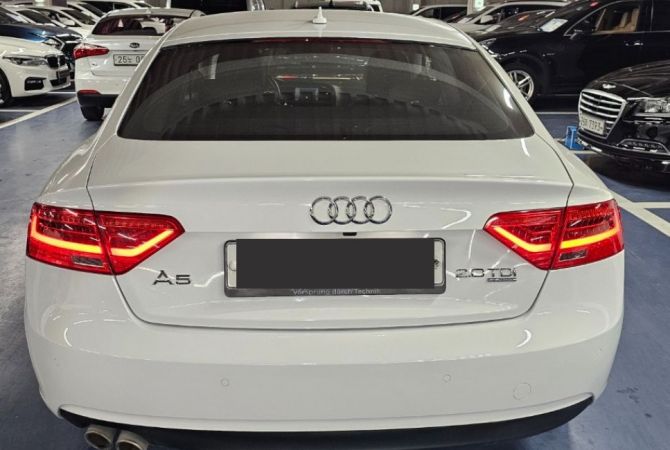 Car Rental in Tirana - 50 Euro