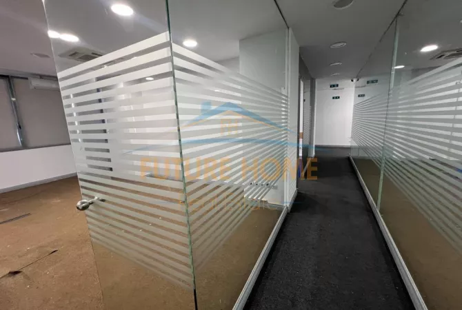 Qira, Ambient per zyra, Zogu i Zi