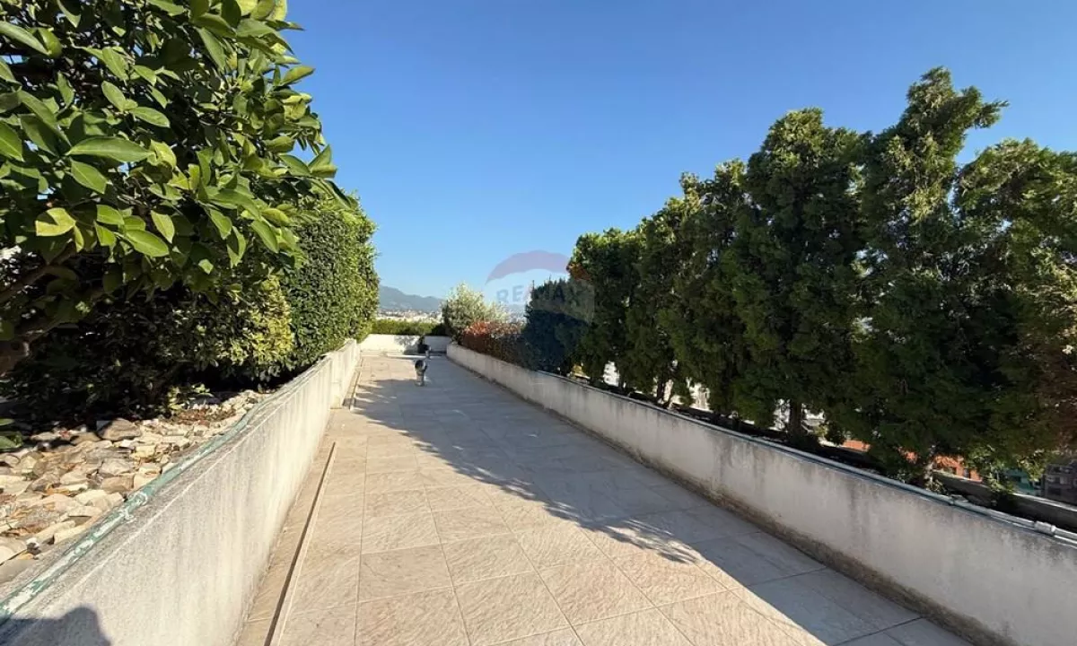 Foto 19