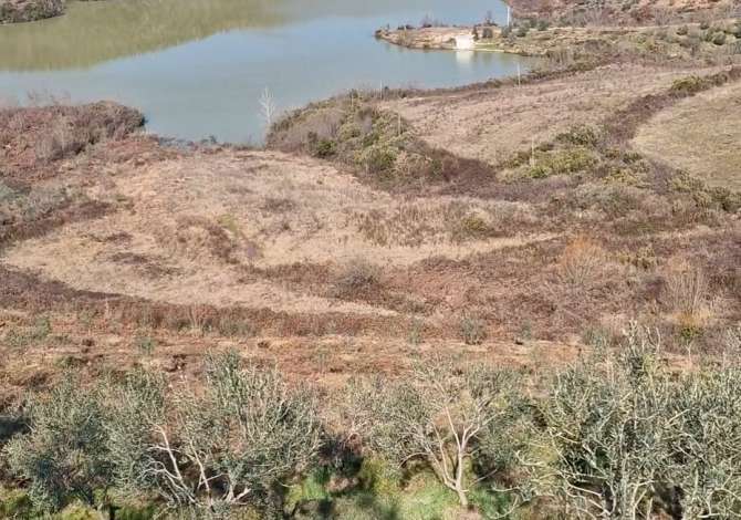 Truall ose Toke  ne Tirane - 1,500 Euro