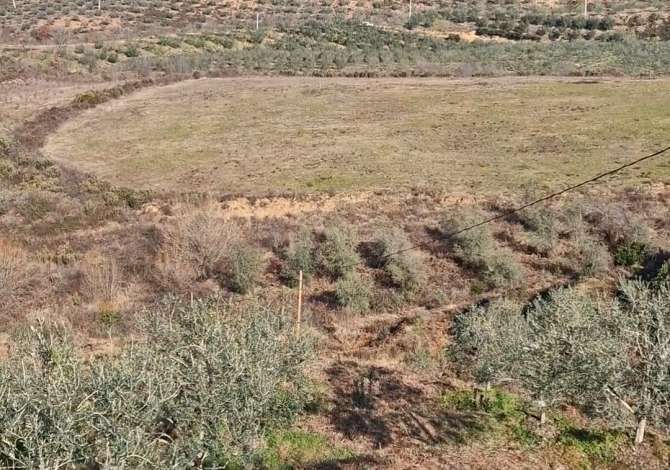 Ullishte plus toke me qera