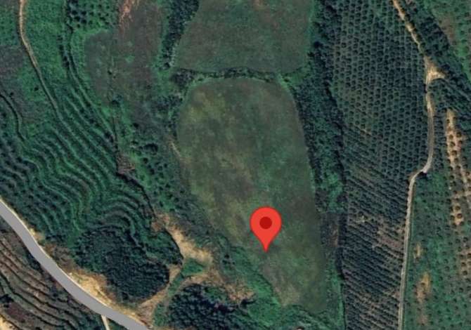 Truall ose Toke  ne Tirane - 1,500 Euro