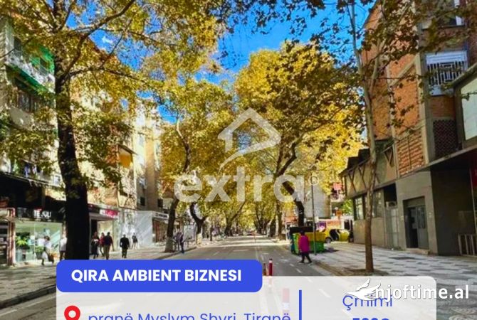 Ambient biznesi me qera 1+1 ne Tirane - 500 Euro