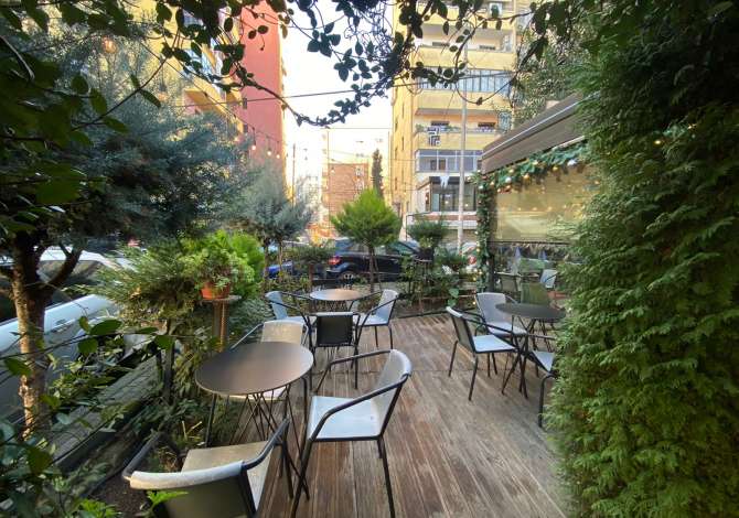 Ambient biznesi me qera 2+1 ne Tirane - 1,500 Euro