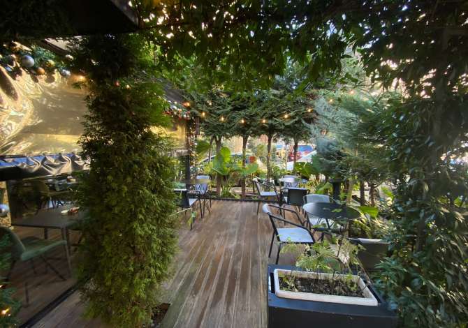 Ambient biznesi me qera 2+1 ne Tirane - 1,500 Euro