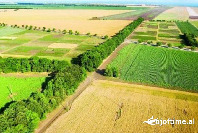 Terreno in vendita  a Tirana - 325,000 Euro