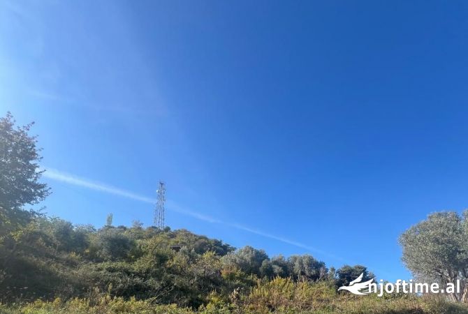 Truall ose Toke  ne Tirane - 224,000 Euro