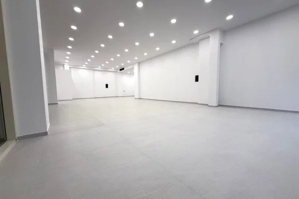 JEPET AMBIENT BIZNESI ME QIRA TE KOMPLEKSI DELIJORGJI 