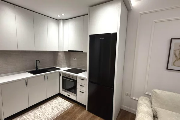 Shtepi me qera Apartament ne Tirane, 1+1, Mobilimi E mobiluar, Pagesa 500  Euro.