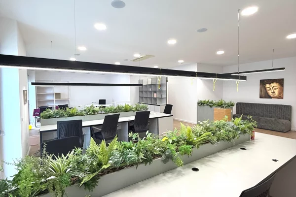 Ambient biznesi me qera 3+1 ne Tirane - 3,000 Euro