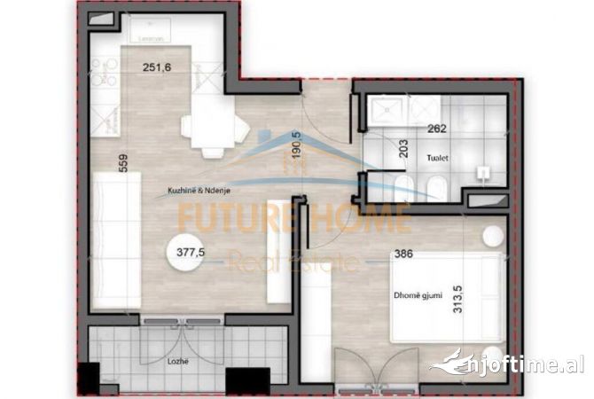 Shtepi ne shitje 1+1 ne Tirane - 97,000 Euro