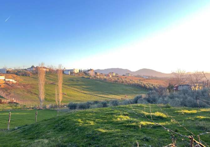 Truall ose Toke  ne Tirane - 476,000 Euro