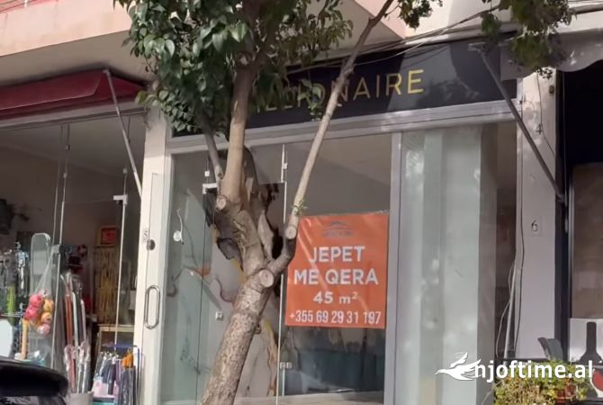 Ambient biznesi me qera 1+1 ne Tirane - 850 Euro