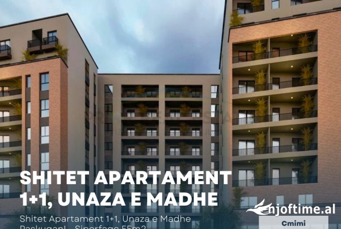 Shtepi ne shitje 1+1 ne Tirane - 68,750 Euro