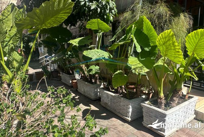 Shtepi ne shitje Apartament ne Tirane, 2+1, Mobilimi Bosh, pa mobiluar, Pagesa 250,000  Euro.