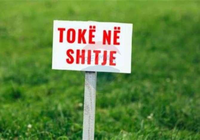 SHITET TOKE NE HAMALLAJ,GJIRI I LALZIT!