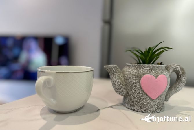 Shtepi me qera Apartament ne Tirane, 1+1, Mobilimi E mobiluar, Pagesa 600  Euro.