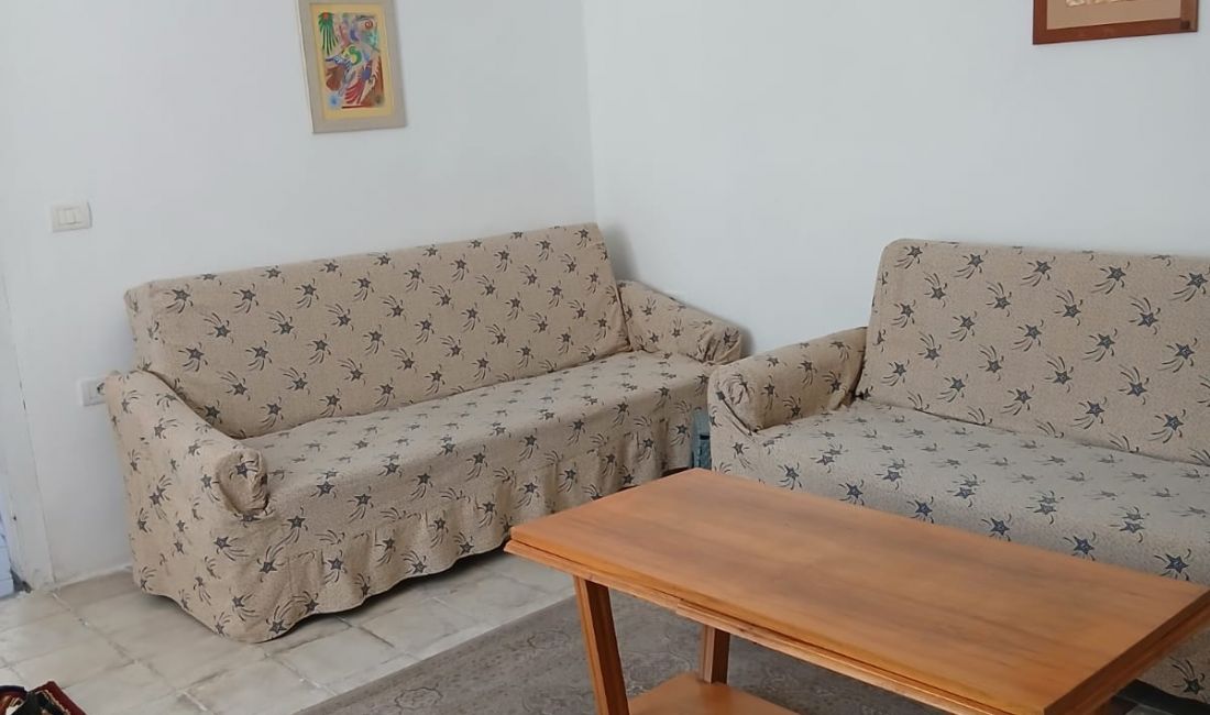 Foto 7