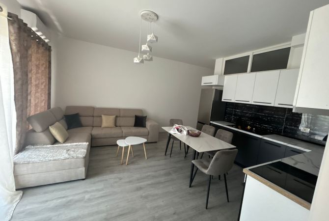 Shtepi me qera Apartament ne Tirane, 2+1, Mobilimi E mobiluar, Pagesa 670  Euro.