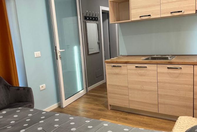 Shtepi me qera Apartament ne Tirane, 1+1, Mobilimi E mobiluar, Pagesa 650  Euro.