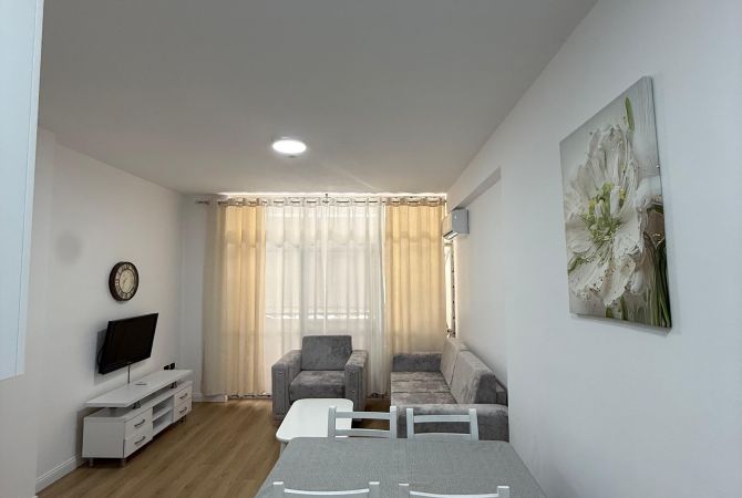 Shtepi me qera Apartament ne Tirane, 1+1, Mobilimi E mobiluar, Pagesa 450  Euro.