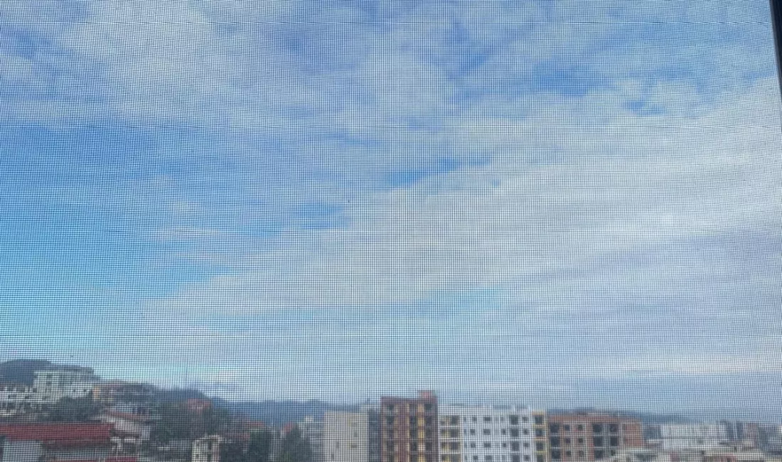 Foto 12