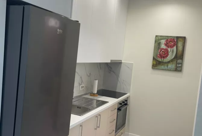 Shtepi me qera Apartament ne Tirane, 1+1, Mobilimi E mobiluar, Pagesa 1,000  Euro.