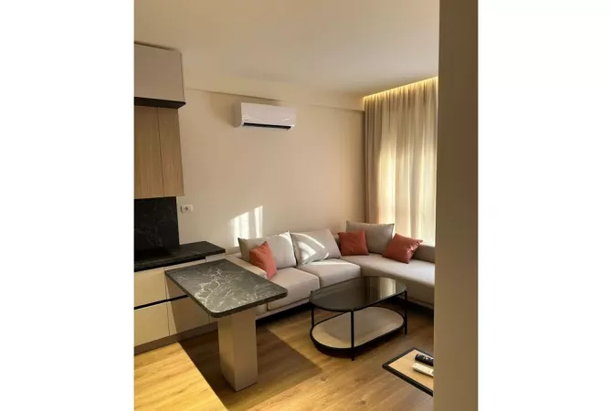 Shtepi ne shitje Apartament ne Tirane, 1+1, Mobilimi E mobiluar, Pagesa 100,000  Euro.