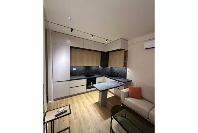 Shtepi ne shitje Apartament ne Tirane, 1+1, Mobilimi E mobiluar, Pagesa 100,000  Euro.