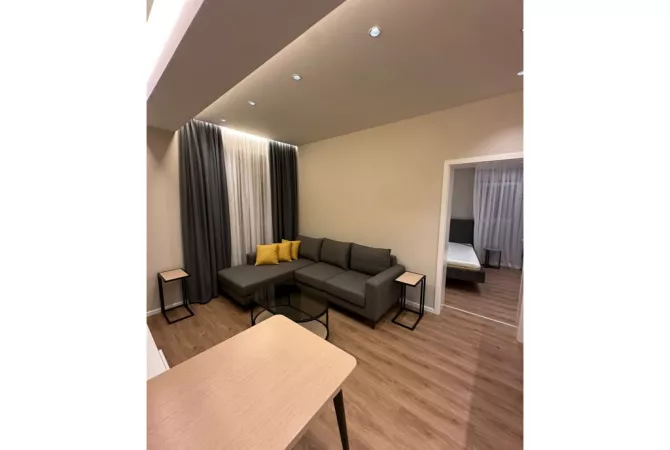 Shtepi ne shitje Apartament ne Tirane, 1+1, Mobilimi E mobiluar, Pagesa 100,000  Euro.