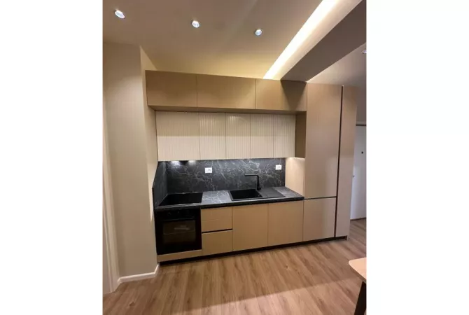 Shtepi ne shitje Apartament ne Tirane, 1+1, Mobilimi E mobiluar, Pagesa 100,000  Euro.