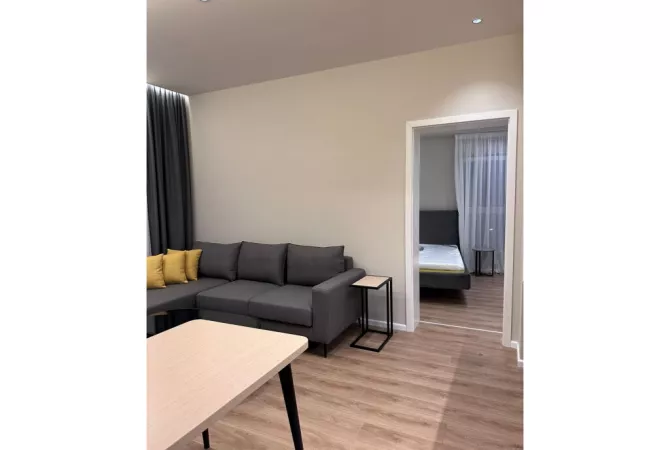 Shtepi ne shitje Apartament ne Tirane, 1+1, Mobilimi E mobiluar, Pagesa 100,000  Euro.
