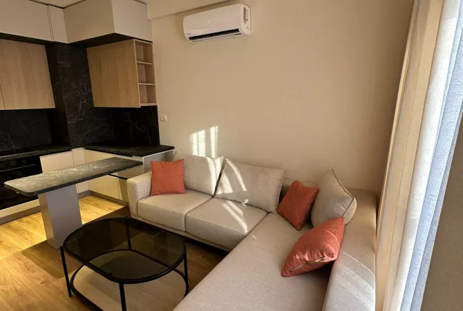 Shtepi me qera Apartament ne Tirane, 1+1, Mobilimi E mobiluar, Pagesa 500  Euro.