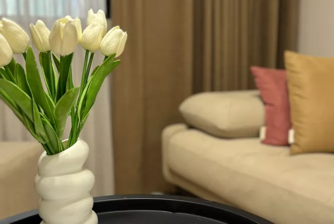 Shtepi me qera Apartament ne Tirane, 1+1, Mobilimi E mobiluar, Pagesa 850  Euro.