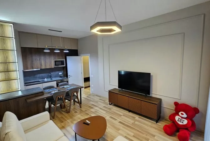 Apartment for rent in Tirana 1+1, Furnished