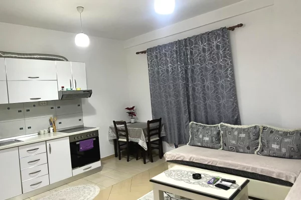 Shtepi me qera Apartament ne Tirane, 1+1, Mobilimi E mobiluar, Pagesa 350  Euro.