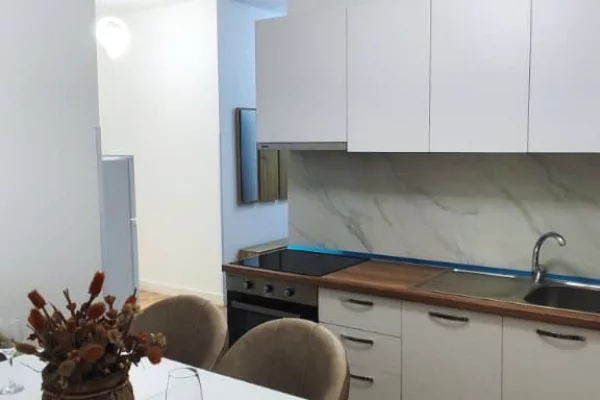 Shtepi me qera Apartament ne Tirane, 1+1, Mobilimi E mobiluar, Pagesa 1,000  Euro.