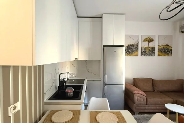 Shtepi me qera Apartament ne Tirane, 1+1, Mobilimi E mobiluar, Pagesa 400  Euro.