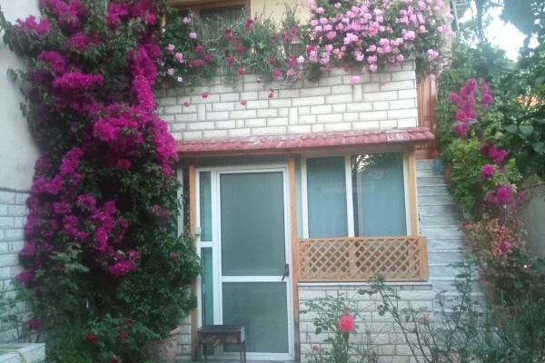 Shtepi me qera Apartament ne Tirane, 2+1, Mobilimi E mobiluar, Pagesa 450  Euro.