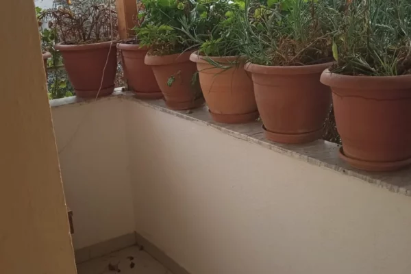 Shtepi me qera Apartament ne Tirane, 2+1, Mobilimi E mobiluar, Pagesa 450  Euro.