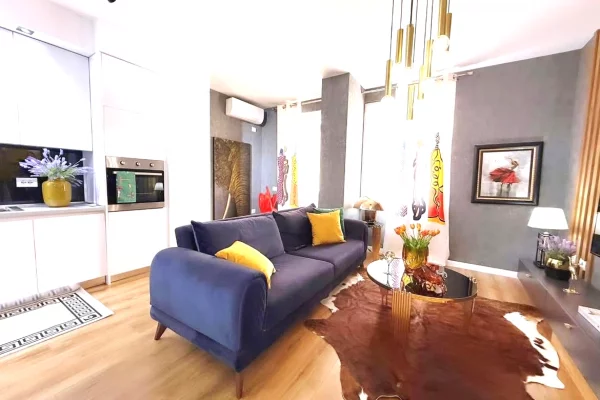 Shtepi me qera Apartament ne Tirane, 1+1, Mobilimi E mobiluar, Pagesa 800  Euro.