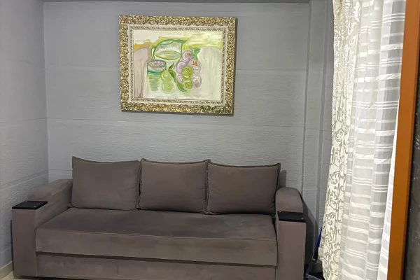 Shtepi me qera Apartament ne Tirane, 1+1, Mobilimi E mobiluar, Pagesa 450  Euro.