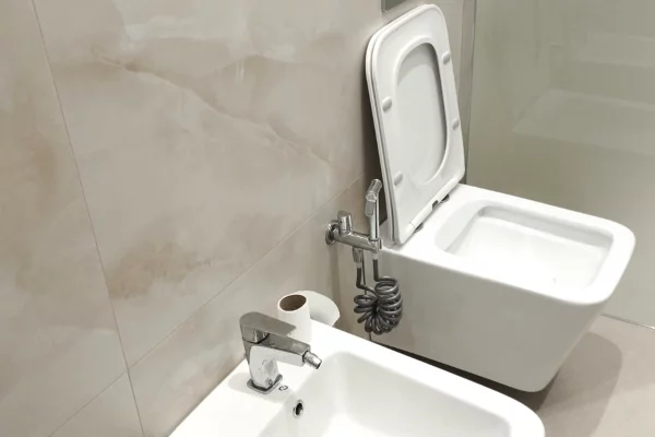 Shtepi me qera Apartament ne Tirane, 1+1, Mobilimi E mobiluar, Pagesa 500  Euro.