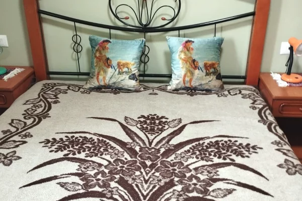 Shtepi me qera Apartament ne Tirane, 1+1, Mobilimi E mobiluar, Pagesa 500  Euro.