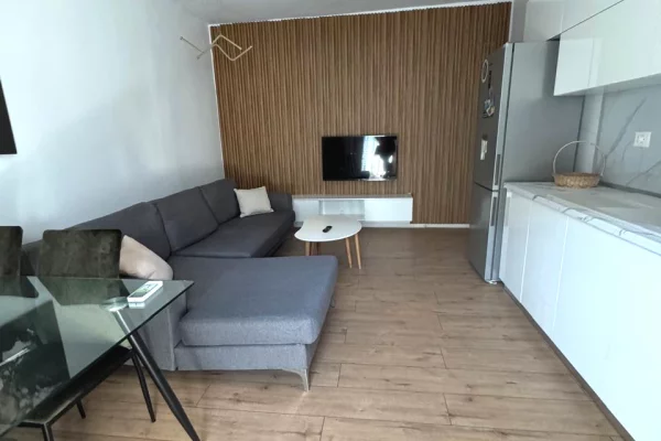 Apartment for rent in Tirana 1+1, Furnished