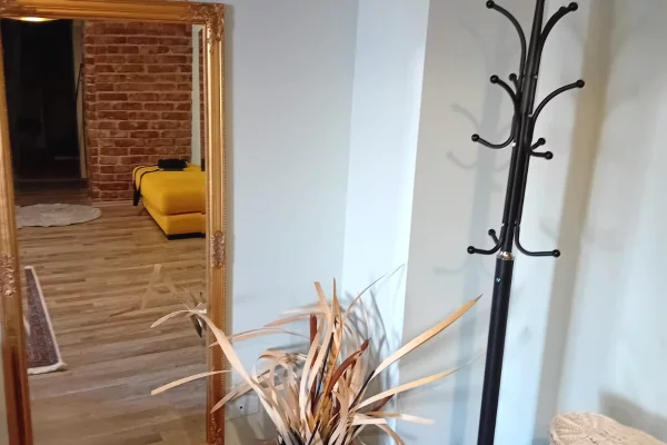 Appartamento in affitto a Tirana 1+1, Arredato